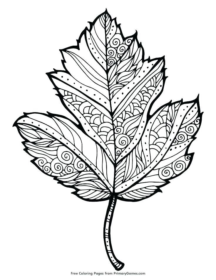 Autumn Printable Coloring Pages 735x951 Autumn Printable Coloring Pages