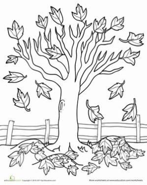 Fall Kindergarten Nature Worksheets Maple Tree Coloring Page 299x376 Fall Kindergarten Nature Worksheets Maple Tree Coloring Page