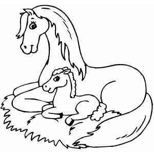 300x300 Horse Sitting With Foal Coloring Pages Horse