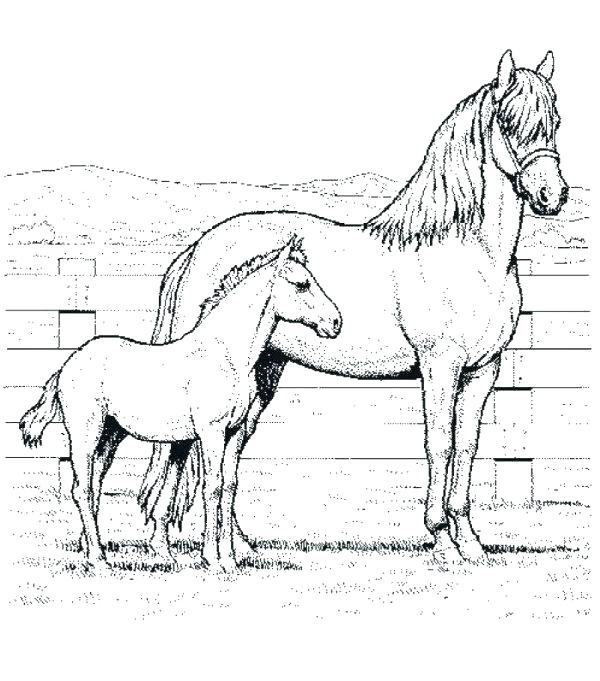 600x681 Mother Horse Foal Coloring Pages Free Horse Coloring Pages