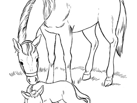 440x330 50 Horses Color Pages, Horse Coloring Pages Free Printable