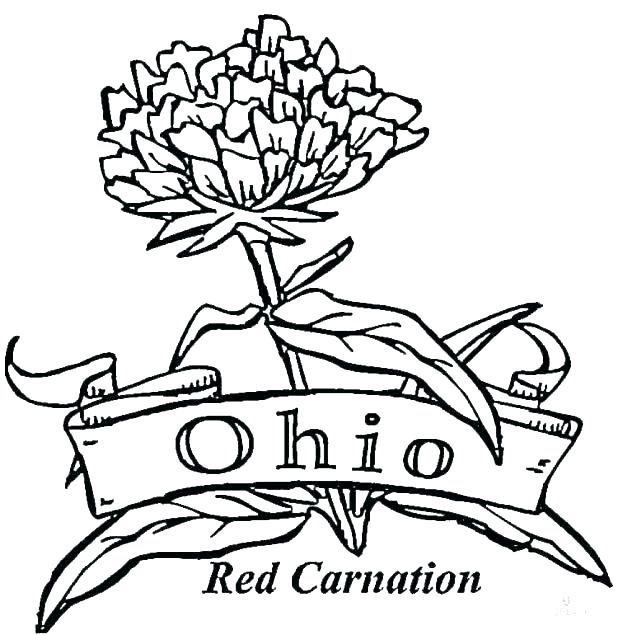 618x635 Band Coloring Pages