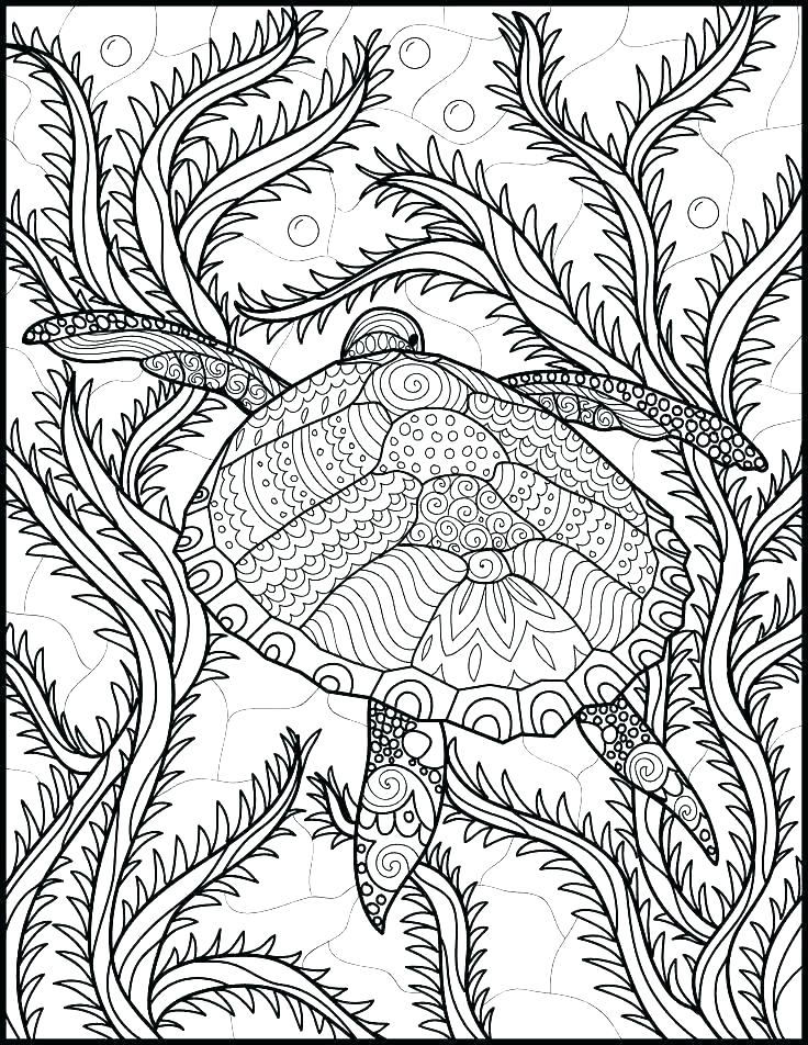 Marine Animals Coloring Pages at GetColorings.com | Free printable ...