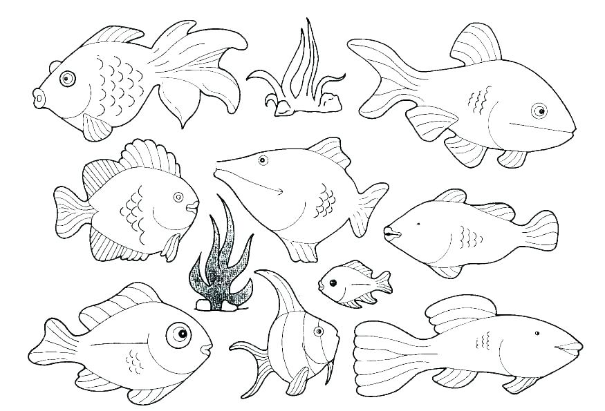 Best Photos Of Cute Sea Animals Coloring Pages Cute Animal Cute 875x595 Best Photos Of Cute Sea Animals Coloring Pages Cute Animal Cute