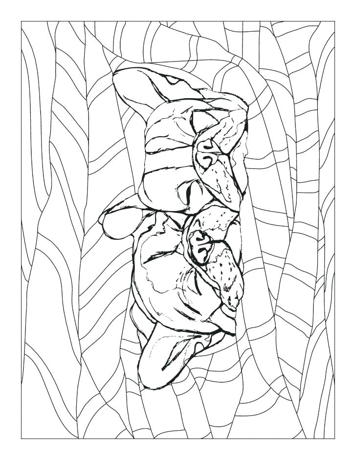 French Bulldog Coloring Pages Marine Corps Coloring Pages New 728x942 French Bulldog Coloring Pages Marine Corps Coloring Pages New