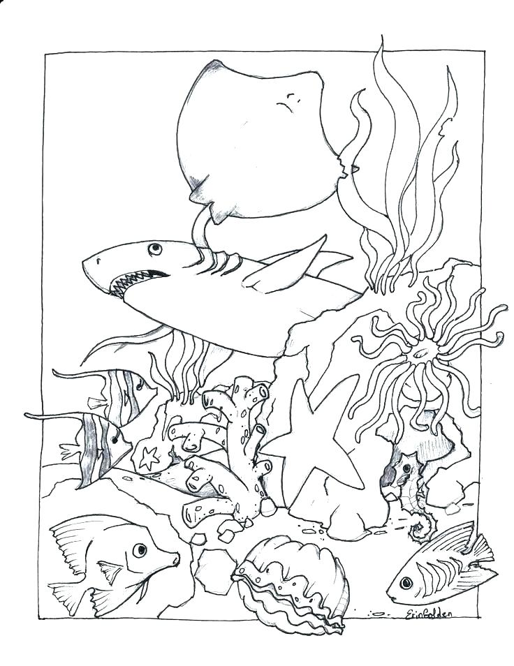Ocean Life Coloring Pages Sea Animals Coloring Pages Life Ocean 736x954 Ocean Life Coloring Pages Sea Animals Coloring Pages Life Ocean
