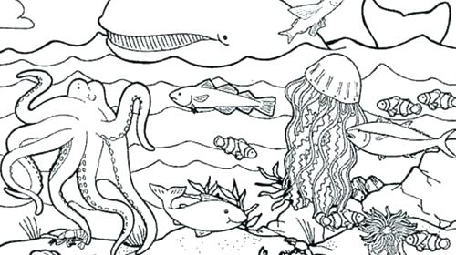 Sea Life Coloring Pages Underwater Sea Life Coloring Sheets Free 500x280 Sea Life Coloring Pages Underwater Sea Life Coloring Sheets Free