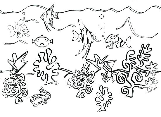 Coloring Pages Ocean Creatures 551x400 Coloring Pages Ocean Creatures