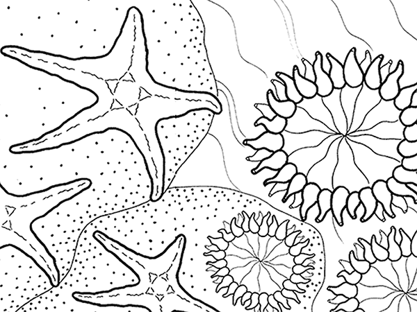 Coloring Pages 600x450 Coloring Pages