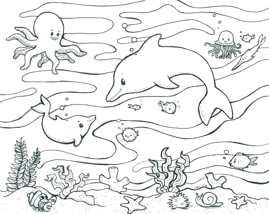 Marine Coloring Page Biology Coloring Pages Marine Biology 900x717 Marine Coloring Page Biology Coloring Pages Marine Biology