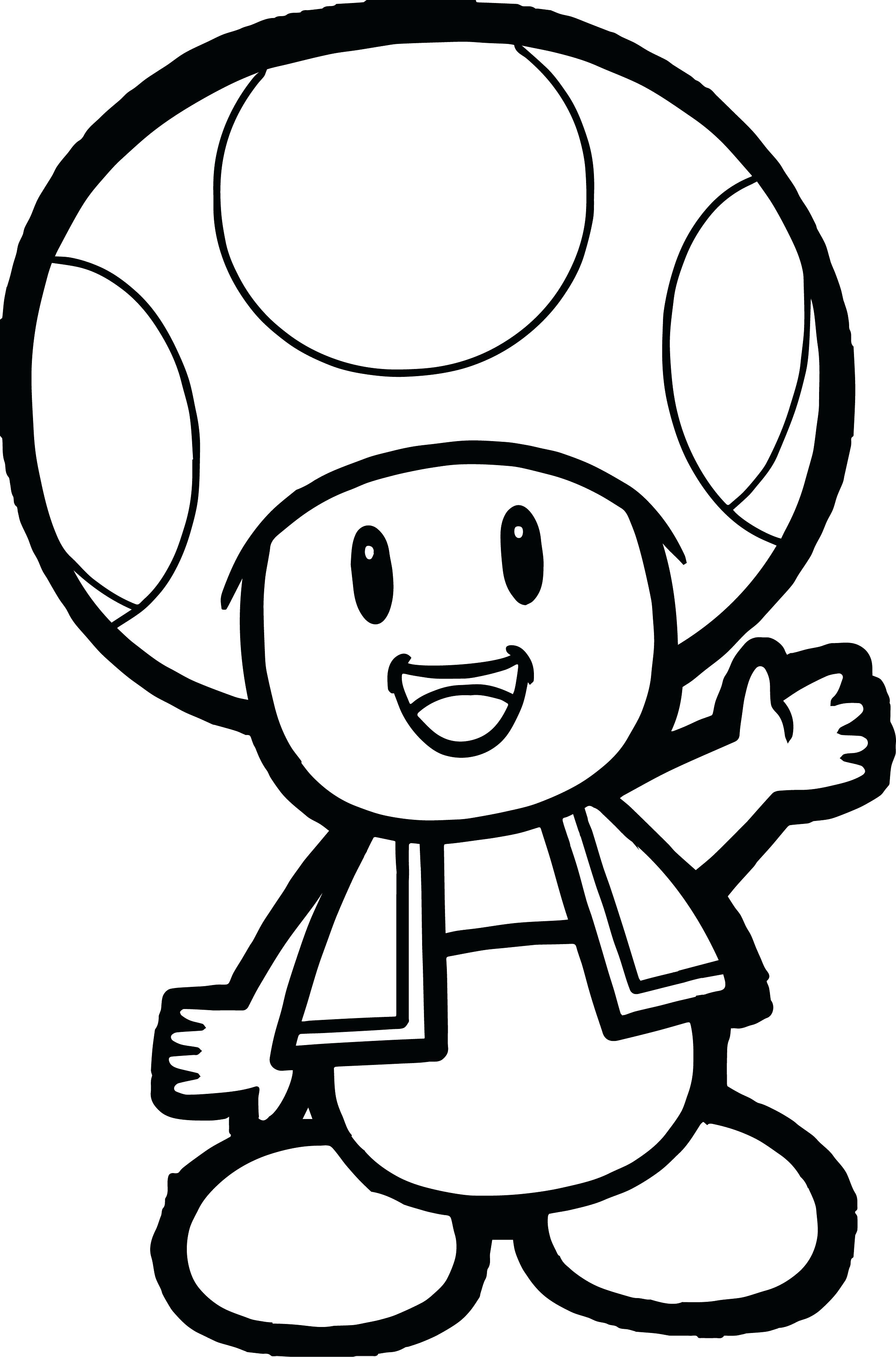 Club Nitendo Mario And Luigi Coloring Page Pages Koopa Troopa 2388x3615 Club Nitendo Mario And Luigi Coloring Page Pages Koopa Troopa