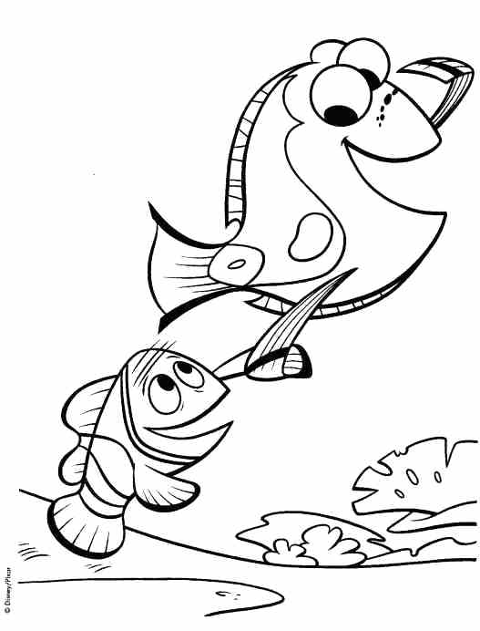 527x692 Finding Nemo Coloring Page Finding Coloring Pages 2 Finding Nemo