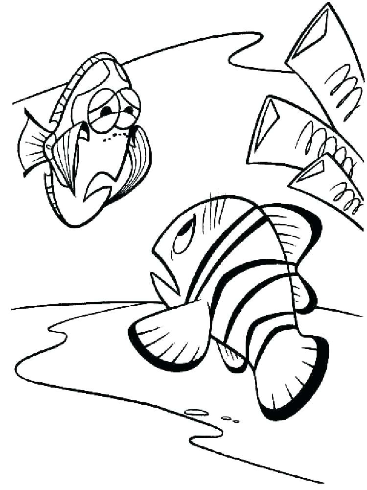 750x1000 Finding Nemo Coloring Pages Coloring Page Finding Coloring Pages