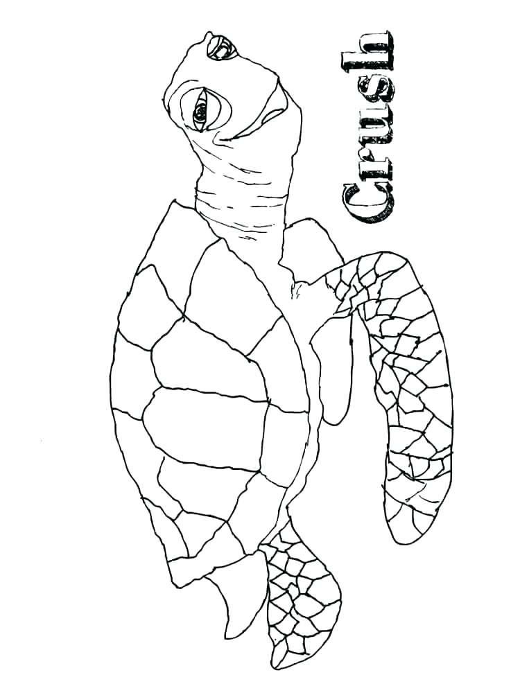 750x1000 Finding Nemo Coloring Pages Finding Ng Pages Marlin Page Crush