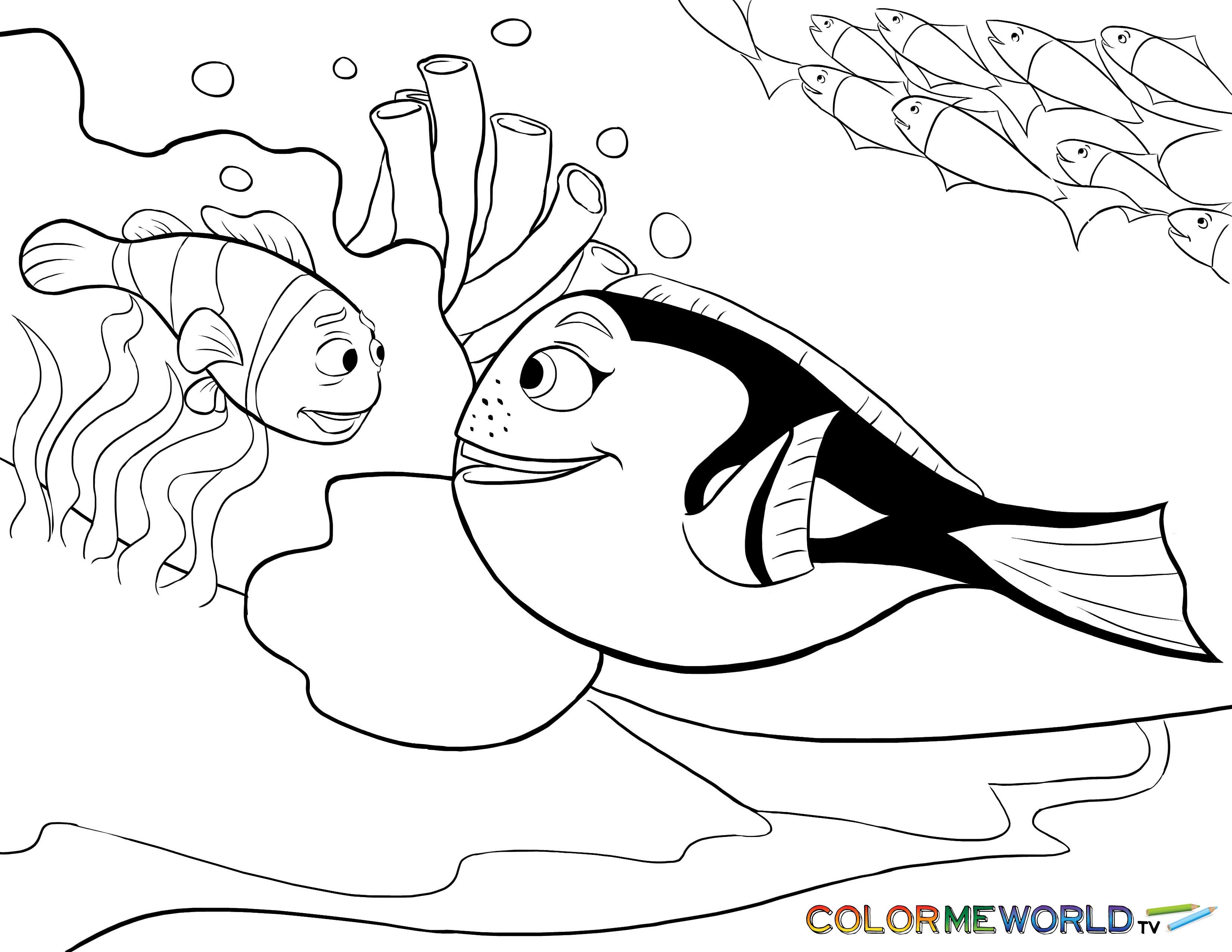 3300x2550 Innovative Nemo And Dory Coloring Pages Superb Indicates