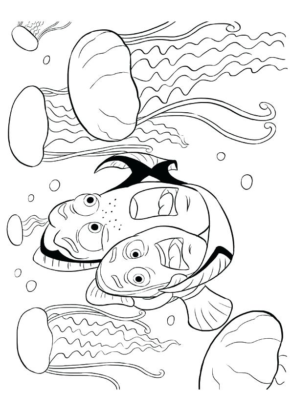 595x842 Nemo Coloring Pages Finding Coloring Pages Marlin Dory Jellyfish