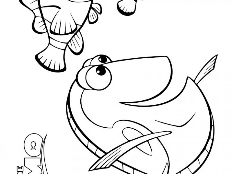 800x600 Nemo Coloring Pages Marlin Dory And Nemo Coloring Page Churchs