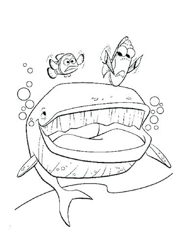 371x480 Finding Coloring Pages Printable Finding Nemo Coloring Pages