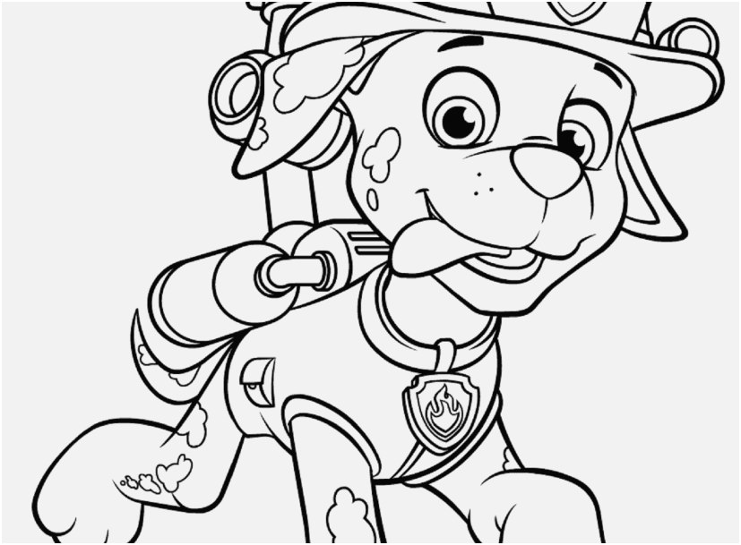 827x609 Paw Patrol Coloring Pages Images Paw Patrol Marshall With Water
