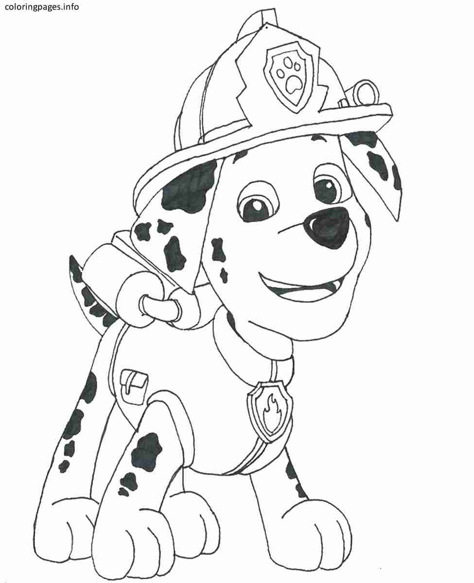 975x1200 Paw Patrol Coloring Pages Marshall Olegratiy