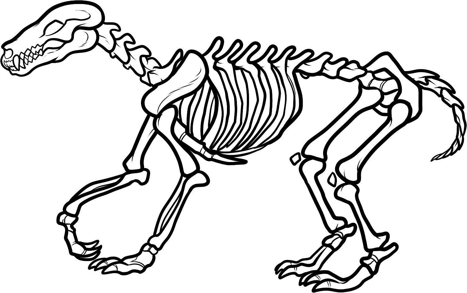 Stunning Dinosaur Skeleton Coloring Page Clipart Panda Picture 1504x944 Stunning Dinosaur Skeleton Coloring Page Clipart Panda Picture