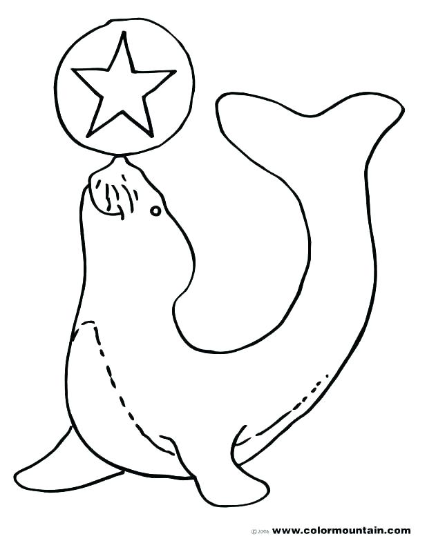 618x787 Martin Luther Rose Coloring Page Seal Pages Shark Attacks Enchant