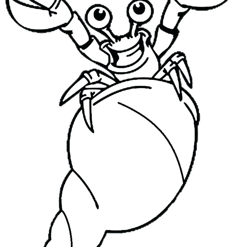 850x864 Hermit Crab Coloring Pages Free Drawn Page Pencil And In Color 4