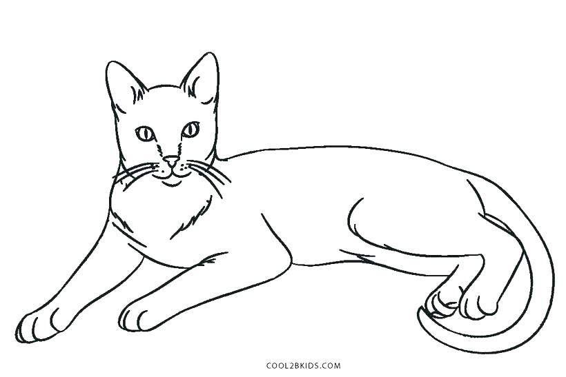 Catholic Mass Coloring Pages Cat Coloring Page Coloring Pages 820x547 Catholic Mass Coloring Pages Cat Coloring Page Coloring Pages