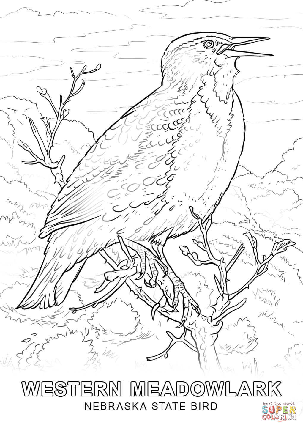 Revolutionary Iowa State Bird Coloring Page Fr 1020x1440 Revolutionary Iowa State Bird Coloring Page Fr