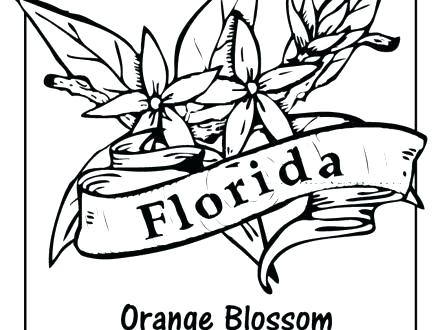 State Flower Coloring Pages 440x330 State Flower Coloring Pages