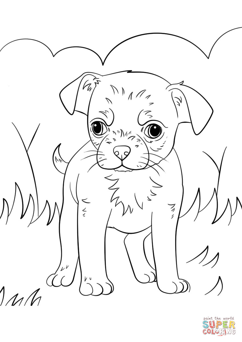 849x1200 Chihuahua Coloring Pages