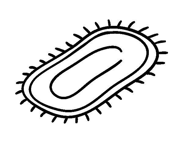 600x470 Colouring Pages Of Mat