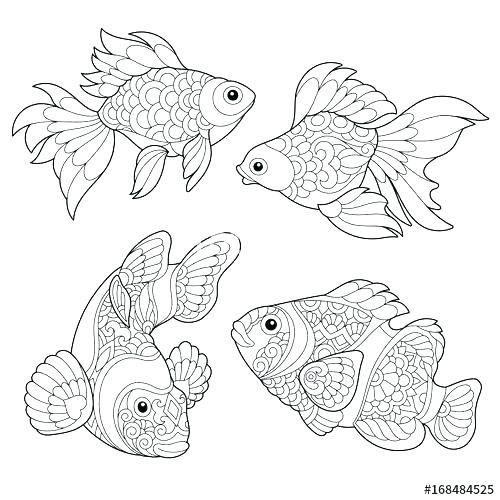 500x500 Matisse Coloring Pages Coloring Pages Goldfish Coloring Page