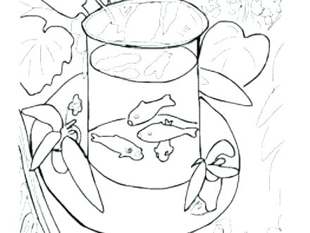 440x330 Matisse Colouring Pages Goldfish Henri Matisse Coloring Pages
