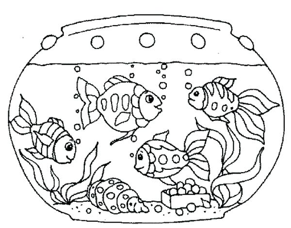 600x470 Matisse Coloring Pages Classy Goldfish Coloring Page Online In