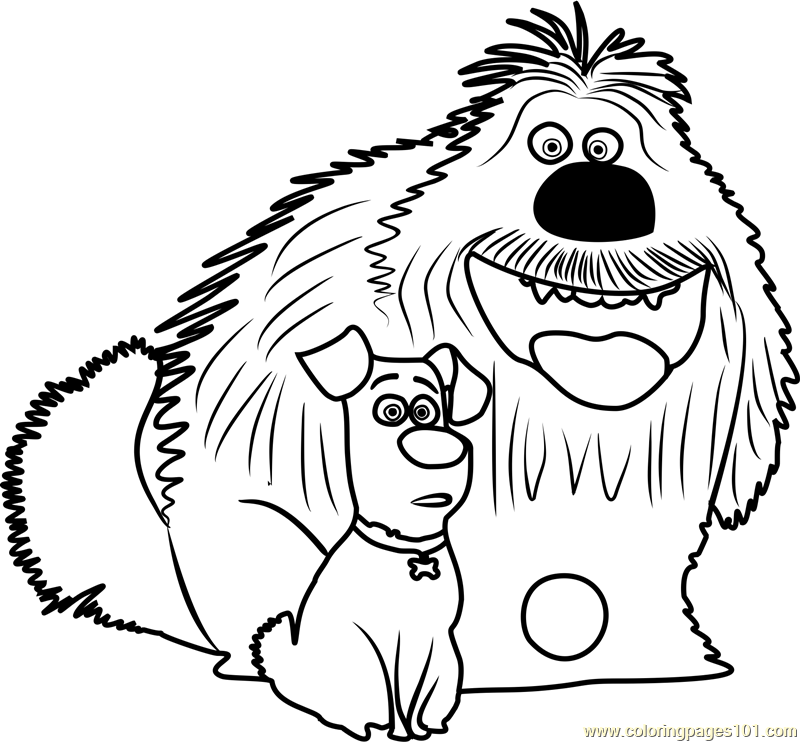 Secret Life Of Pets Free Coloring Pages Duke And Max Coloring Page 800x742 Secret Life Of Pets Free Coloring Pages Duke And Max Coloring Page