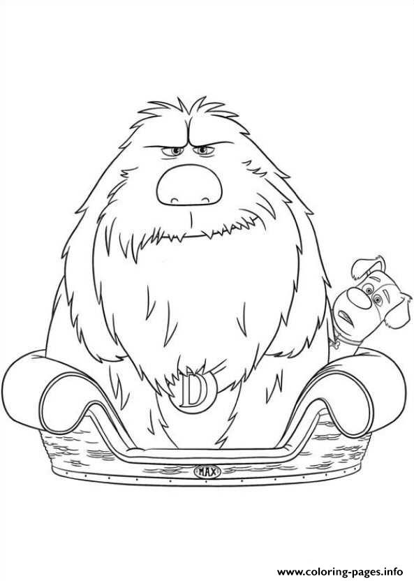 Duke In Max Bed Secret Life Of Pets Coloring Pages Printable 593x832 Duke In Max Bed Secret Life Of Pets Coloring Pages Printable