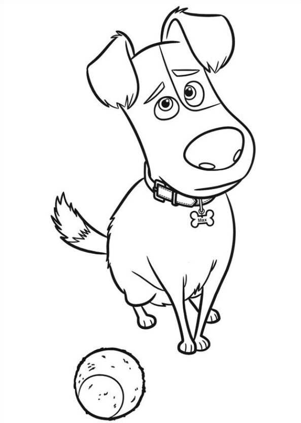 Kids N 29 Coloring Pages Of Secret Life Of Pets 593x832 Kids N 29 Coloring Pages Of Secret Life Of Pets