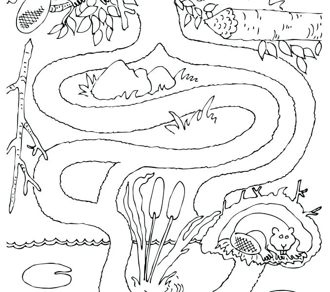 678x600 Animal Maze Printable Kids Coloring Travel Animal Maze Printable