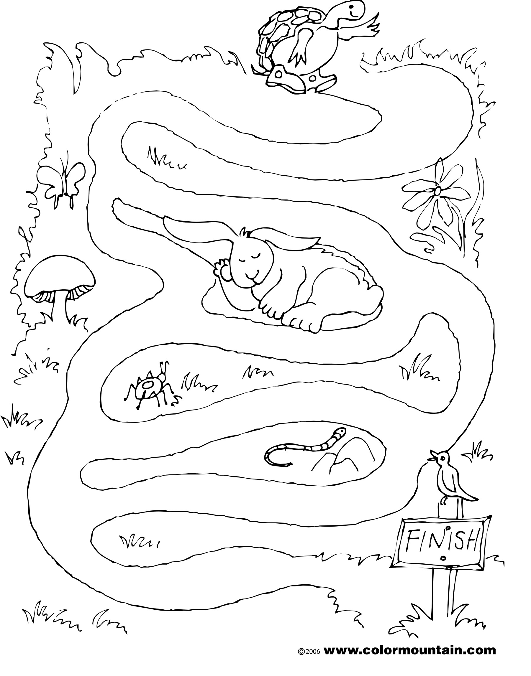 1800x2294 Maze Turtle Coloring Page Sheet Create Printout Or Activity