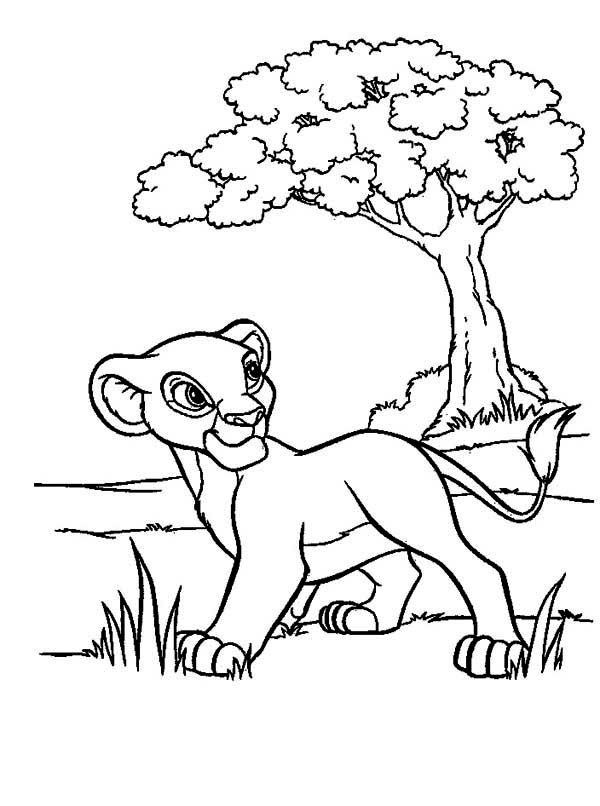Simba Walking In The Meadow The Lion King Coloring Page Coloring 600x806 Simba Walking In The Meadow The Lion King Coloring Page Coloring