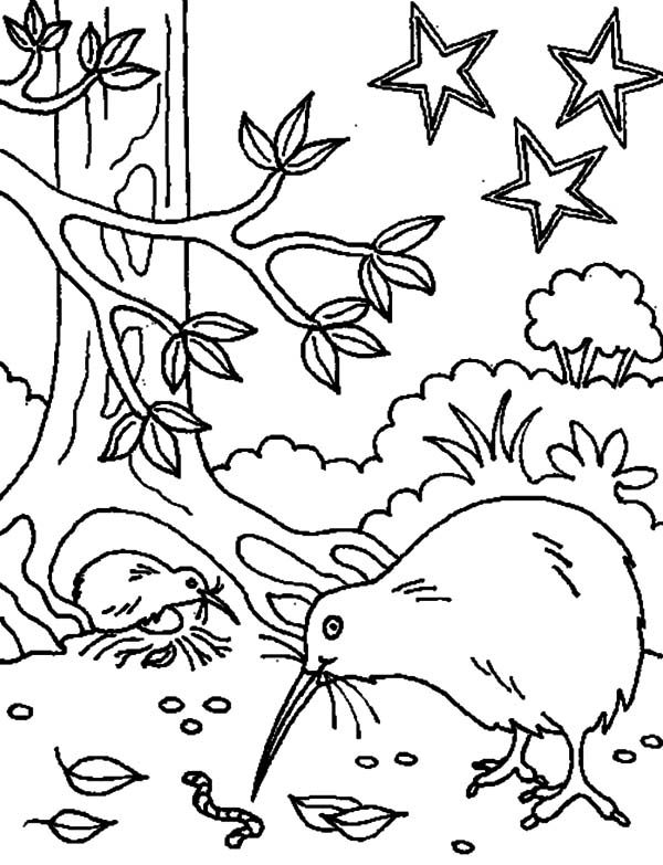 600x783 Kiwi Bird Favorite Meal Coloring Pages