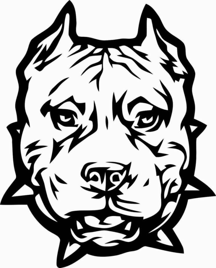744x921 Pitbull Coloring Pages Coloring Pages Adult