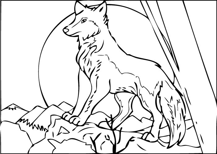 Free Printable Wolf Coloring Pages Artistic, Sketch And Realistic 701x500 Free Printable Wolf Coloring Pages Artistic, Sketch And Realistic