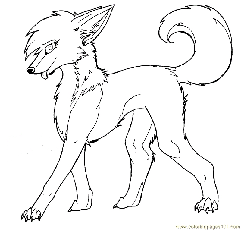 Anime Wolf Coloring Pages Animal Coloring Pages 800x763 Anime Wolf Coloring Pages Animal Coloring Pages