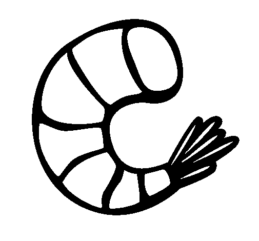 505x470 Meat Shrimp Coloring Page