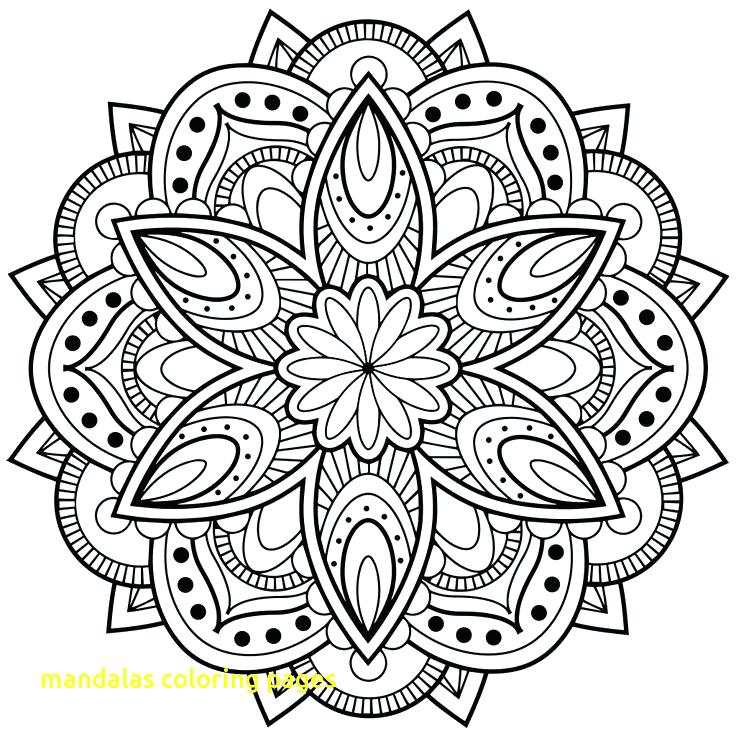736x736 The Mandala Coloring Book Mandalas Coloring Pages With Mandala