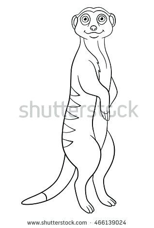 318x470 Meerkat Coloring Pages Coloring Pages Little Cute Stands