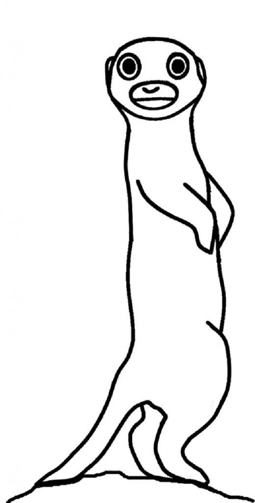 519x1024 Meerkat Coloring Pages Coloring Pages