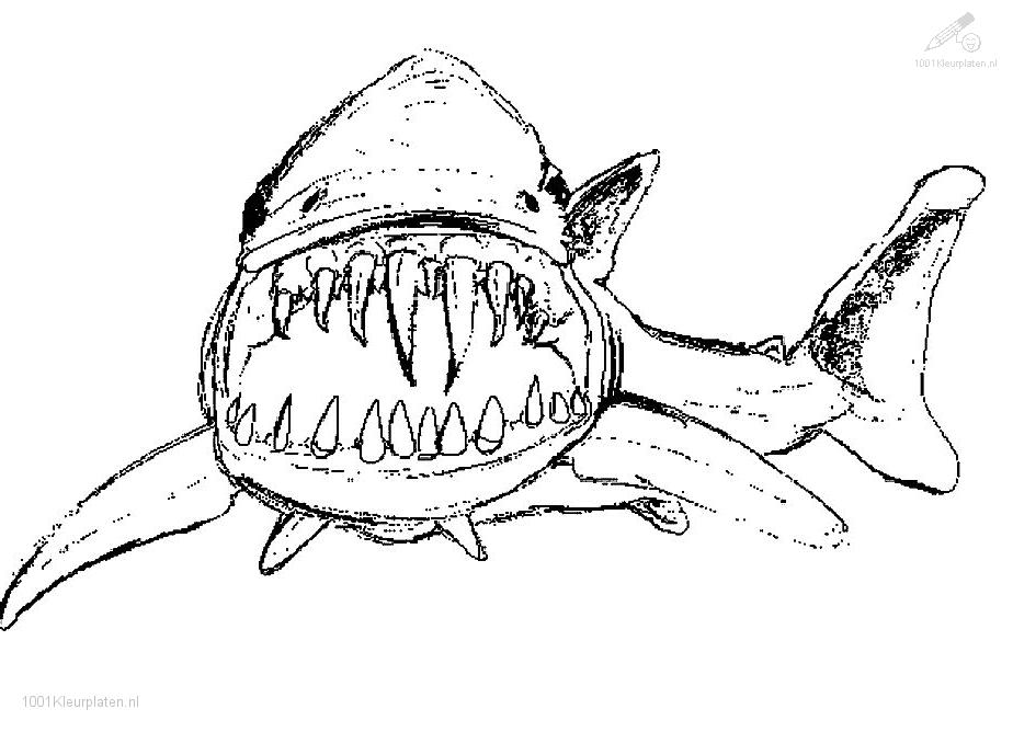Megalodon Coloring Pages 924x668 Megalodon Coloring Pages